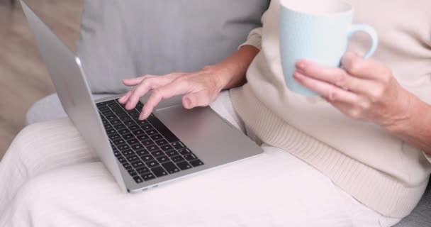Close up elderly mature woman web surfing information. - Video, Çekim