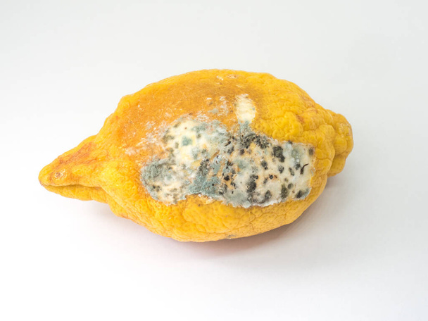 Rotte citroen op witte achtergrond - Foto, afbeelding