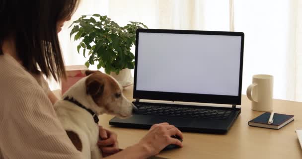 Περικοπή ελεύθερος επαγγελματίας με το σκυλί χρησιμοποιώντας φορητό υπολογιστή - Πλάνα, βίντεο