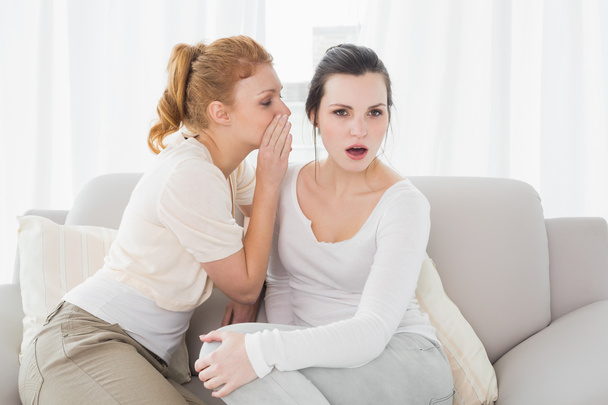 Female friends gossiping in the living room - Foto, Imagem