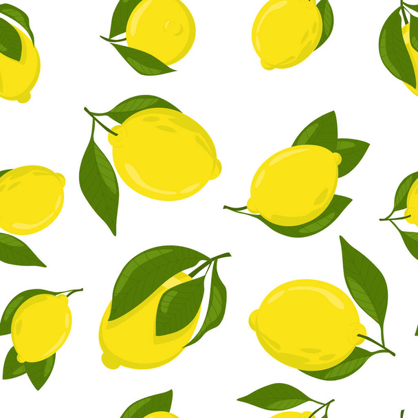 Bright pattern with yellow lemons and green leaves. Vector image on a white background. - Vektör, Görsel