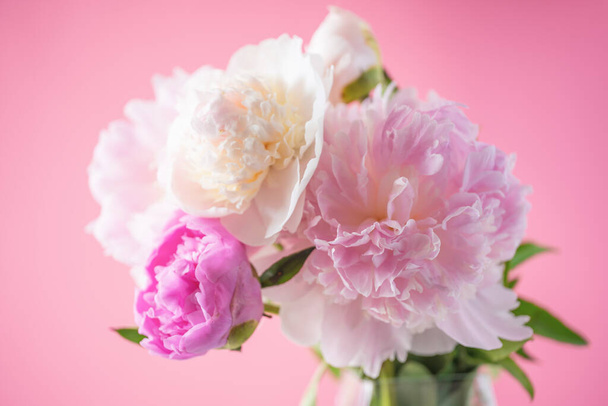 Pinkfarbene Pfingstrosen in Nahaufnahme auf rosa Hintergrund. Eleganter Strauß, schöne Blumen für jeden Urlaub. - Foto, Bild