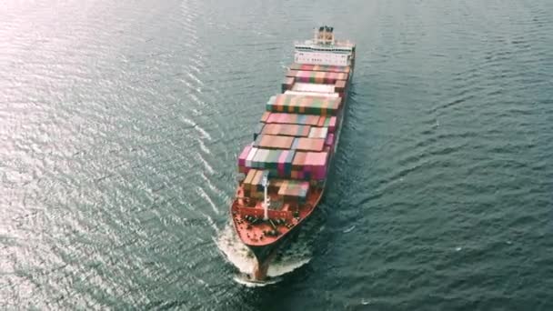 Container vessel floating in sea - Footage, Video