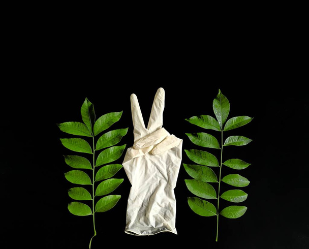Medical latex glove on green leaves on black background. medical concept - Photo, Image