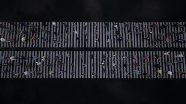 Zebramenschen im Regen - Filmmaterial, Video