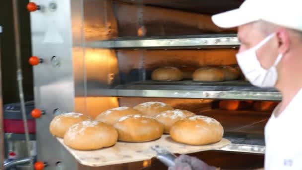 A séf eltávolítja a frissen sült péksüteményeket a sütőből. A sült kenyeret egy pékségben távolítják el a sütőből.. - Felvétel, videó