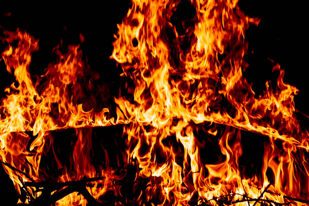 Wood fire on black background.Fire on a dark background. Background from fire. Fire close up. Background for designers. - Photo, Image