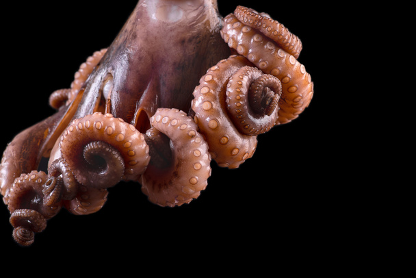 Raw octopus on black stone background.Fresh seafood. - Photo, Image