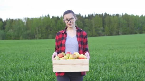 Vrouw boer met houten doos met fruit en gaat over het veld, slow motion - Video