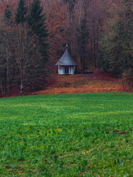 podzim září krajina dřevěná kabina na okraji lesa malebný pohled se zelenou trávou louka a hnědé padající listí země strana divočiny venkovské prostředí prostor, vertikální formát obrazu - Fotografie, Obrázek