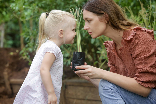 Διαδικασία μεταφύτευσης σπόρων. Γυναίκα και παιδί κρατούν το νεαρό φυτό έτοιμο να φυτευτεί στο χώμα. Ένα μικρό κοριτσάκι περνάει χρόνο στον κήπο με τα λαχανικά με τη μητέρα της. Ποιοτικός οικογενειακός χρόνος.  - Φωτογραφία, εικόνα
