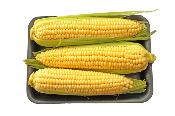 kukorica a cob csemegekukorica - Fotó, kép