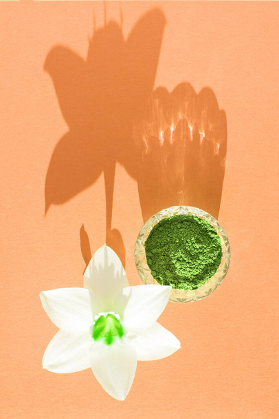 matcha suchy zielony proszek na różowym tle do produkcji japońskiej naturalnej herbaty - Zdjęcie, obraz