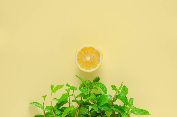Δημιουργικό minimal καλοκαιρινό φόντο από γρασίδι φτιαγμένο από πράσινα φύλλα μέντας και ήλιο από φέτα λεμονιού σε κίτρινο φόντο. - Φωτογραφία, εικόνα