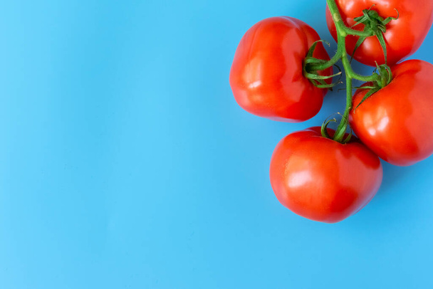 Tomates rojos en una ramita sobre un fondo azul. Verduras del jardín. Comida vegetariana
. - Foto, imagen