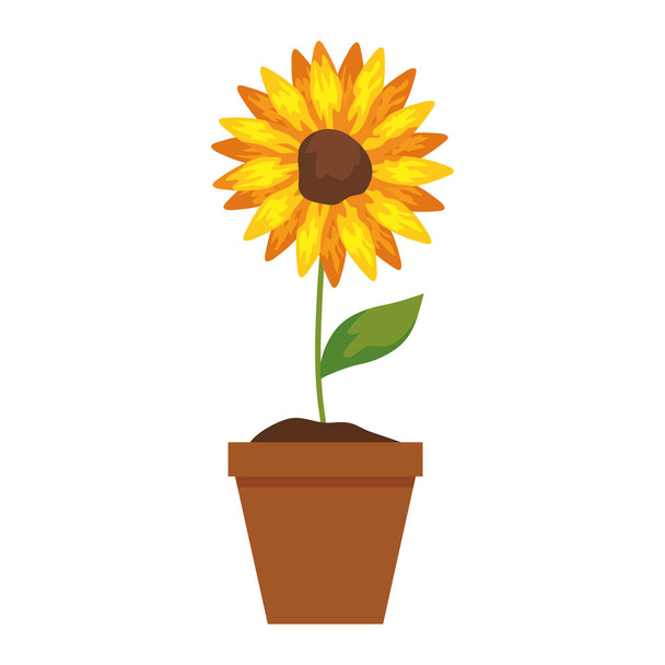 sunflower in pot plant on white background - Vector, afbeelding