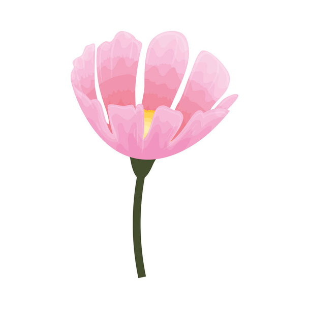 flower pink color, spring concept on white background - Вектор,изображение