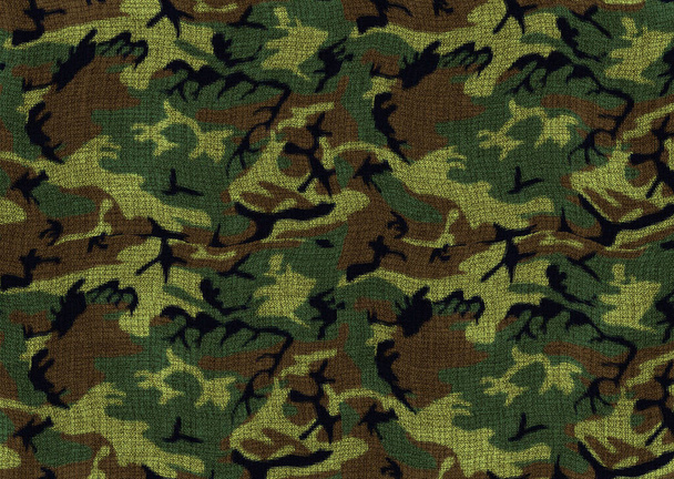 abstract camouflage with brush pattern - Photo, Image