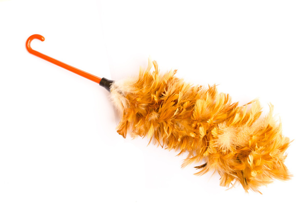 Feather broom - Photo, Image