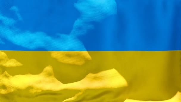 Die ukrainische Nationalflagge flattert im Wind - Filmmaterial, Video