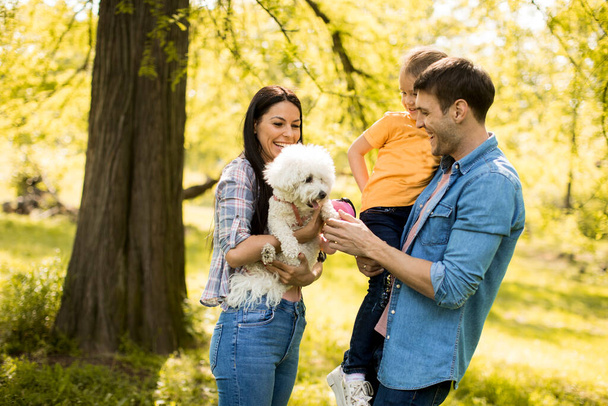 Ευτυχισμένη νεαρή οικογένεια με χαριτωμένο bichon σκυλί στο πάρκο - Φωτογραφία, εικόνα