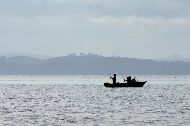 湾の島のニュージーランドの漁船 - 写真・画像