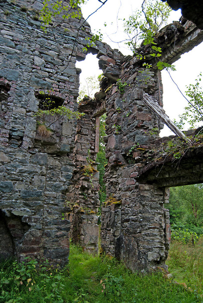 Старые и заросшие остатки замка в Ирландии - Фото, изображение