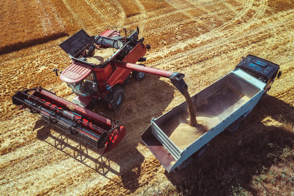 Kombajn zbożowy rolnicze maszyny zbioru pola pszenicy - Zdjęcie, obraz