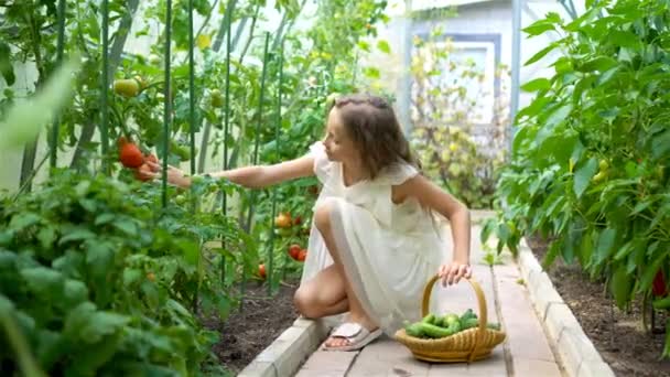 Urocza dziewczynka zbierająca ogórki i pomidory w szklarni. - Materiał filmowy, wideo