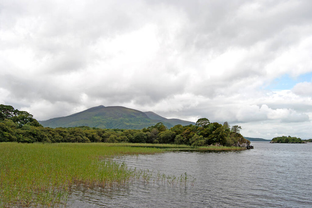 アイルランドのキラーニー国立公園に湖 - 写真・画像