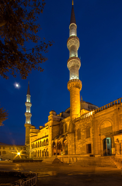 Blaue Moschee - Foto, Bild