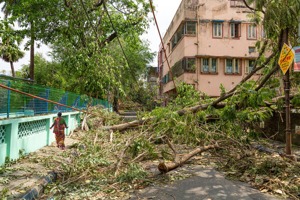 Сильные повреждения от циклонического шторма на улицах города Калькутта с выкорчеванными деревьями, электрическими столбами и пешеходами, идущими по обломкам - Фото, изображение