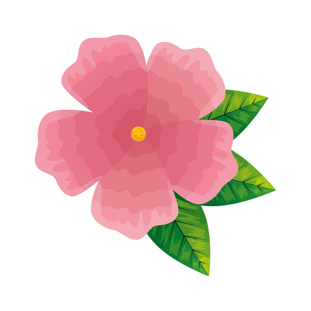 цветок розовый цвет, весенняя концепция на белом фоне
 - Вектор,изображение