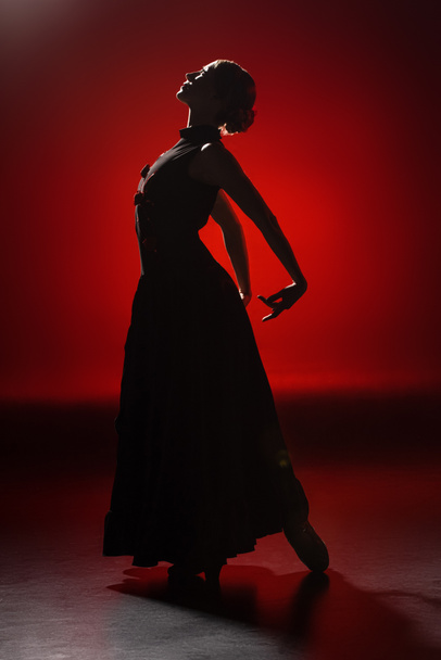 silhouette of elegant young woman dancing flamenco on red - Фото, зображення