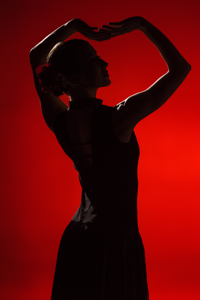 profile of young and elegant woman dancing flamenco on red - Foto, Bild