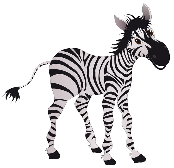 Zebra - Vektor, obrázek