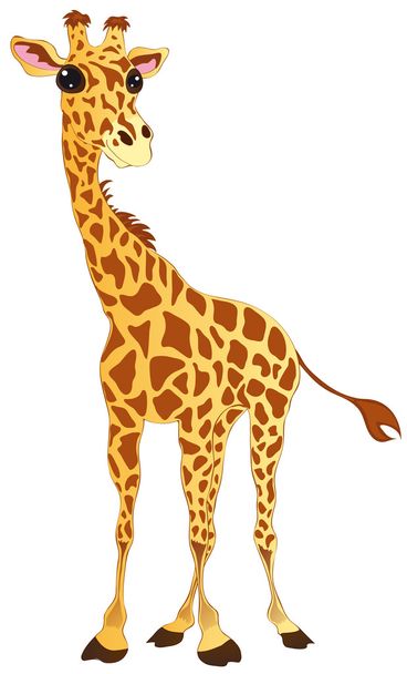 giraf - Vector, afbeelding