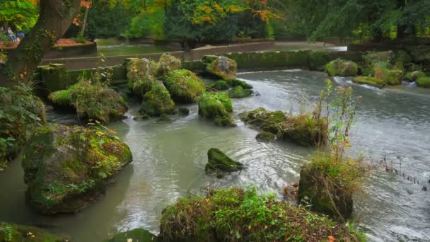 Munich English garden Englischer garten park. Los colores otoñales en los árboles y las hojas y el río que fluye. Munchen, Baviera, Alemania
 - Imágenes, Vídeo