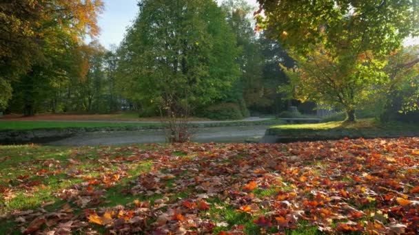 Zlatý podzim na slavném mnichovském odpočívadle - Englishgarten. Anglická zahrada s spadlým listím a zlatým slunečním světlem v říjnu. Jasné barvy přírody. Mnichov, Bavorsko, Německo - Záběry, video