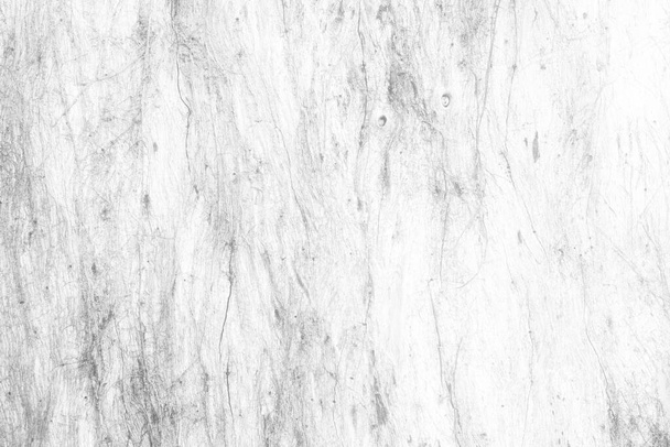 Nahaufnahme White Peeling Wood Bark Texture Hintergrund. - Foto, Bild