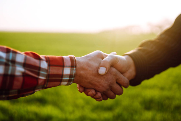 People shaking hands in a wheat field, farmer's agreement. Agricultural growth and farming business concept. - Photo, Image