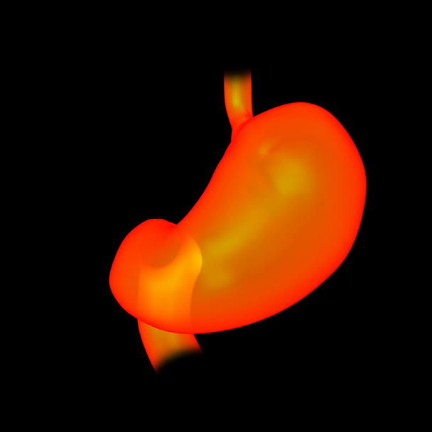 Ilustración 3D prestado del estómago - Fotoğraf, Görsel