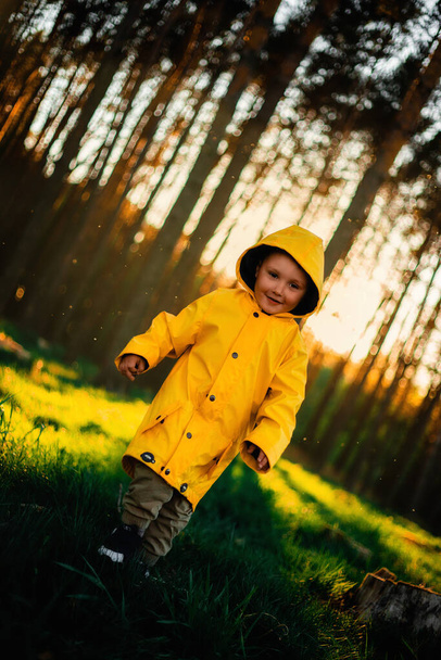 Pieni poika keltaisessa takissa auringonlaskun aikaan metsässä. Luonnonhoitokonsepti. Huolehdi ympäristöstä. Metsäkadon torjunta. Pidä huolta metsästä. Metsä on planeetan keuhkot - Valokuva, kuva