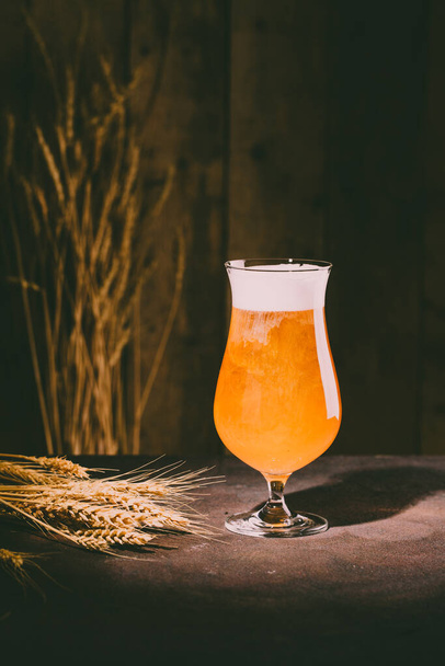Glass of beer with foam with wheat spikes on wooden background. Golden color cold drink for summer or October fest. Copy space, empty place for bottle, selective focus. - Photo, Image