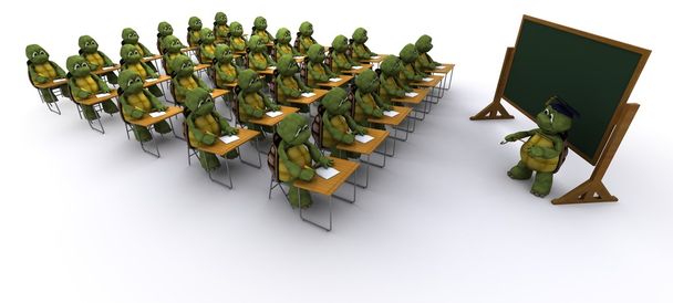 okul masasında oturdu kaplumbağa - Fotoğraf, Görsel