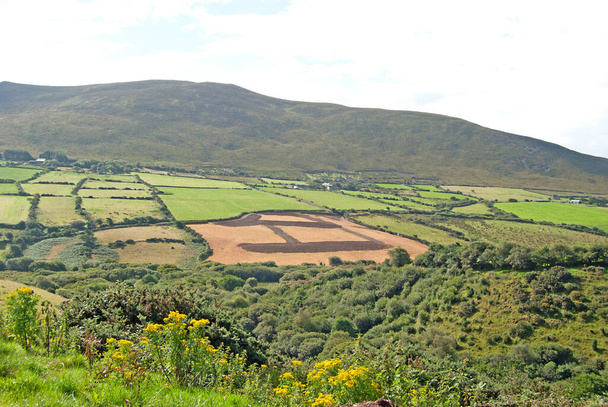 Зеленый пейзаж с большим количеством полей, Ирландия - Фото, изображение