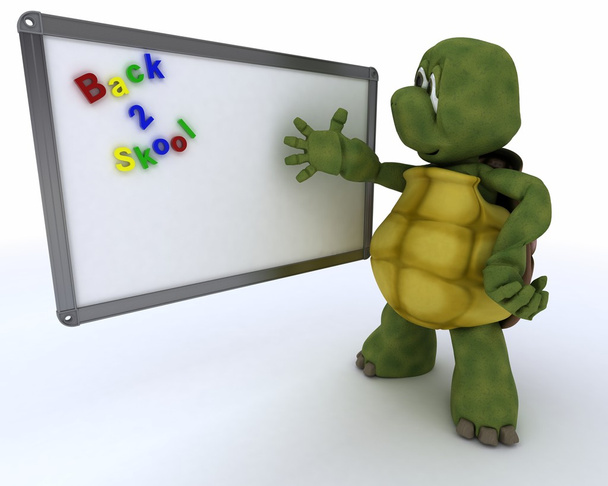 sköldpadda med vit klass rum drywipe markör styrelse - Fotografie, Obrázek