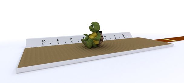 черепаха змагається в довгому стрибку
 - Фото, зображення