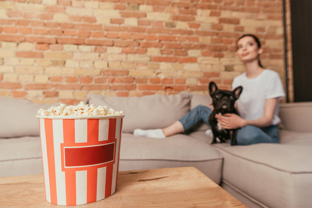 valikoiva painopiste popcorn ämpäri sohvapöytä lähellä tyttö koskettaa söpö ranskalainen bulldog - Valokuva, kuva