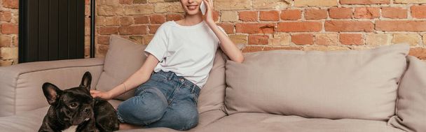 plan panoramique de la fille assise sur le canapé et parlant sur smartphone tout en touchant bouledogue français mignon
 - Photo, image